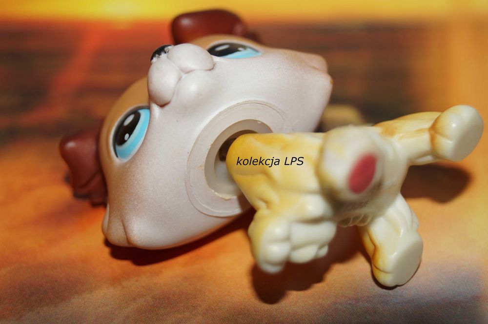 LPS Littlest Pet Shop collie #58 Sage oryginalny pop oryginał paw up