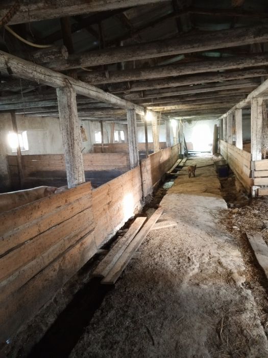 Приміщення свиноферми с.Юрки.Кременчуцького рн