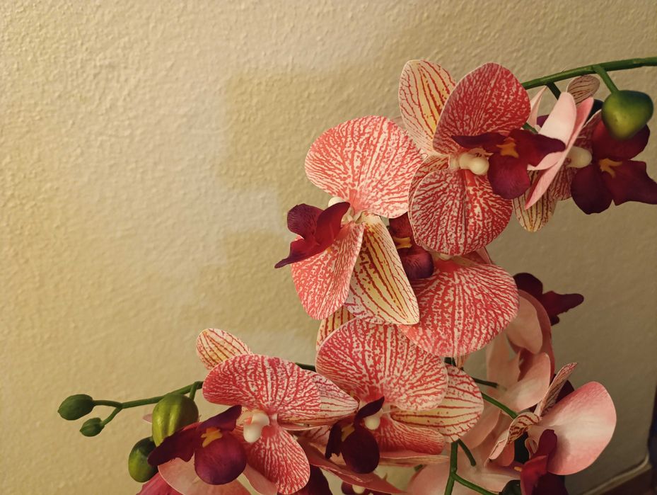 Orquídea artificial mas parece verdadeira