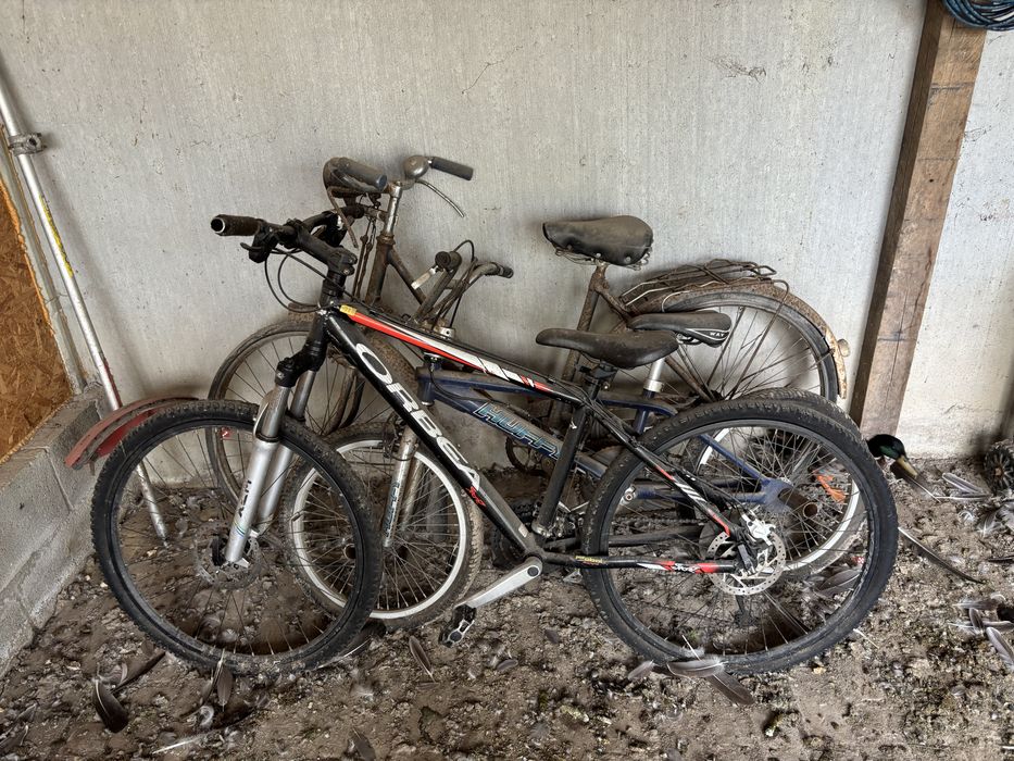 Bicicleta orbea usado