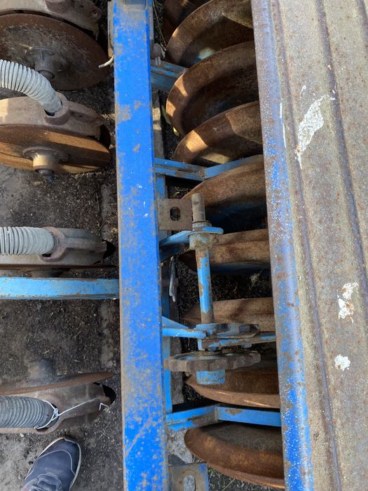 Котки на сівалку