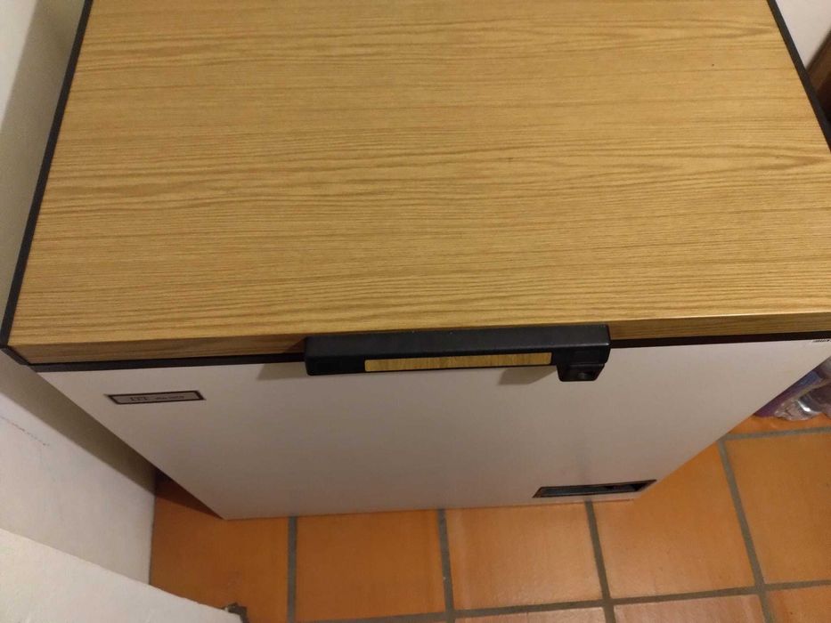 Arca Congeladora Frivouga 255L — Excelente Estado (Como Nova)