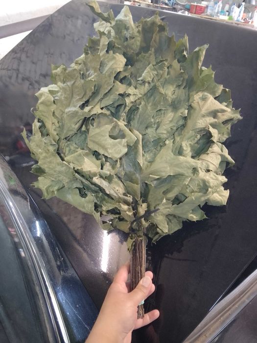 Веники для бани,берёза,дуб,канадский дуб,полынь,чебрец,мята