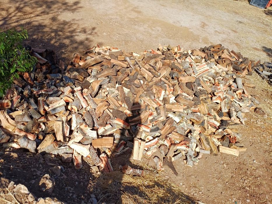 Lenha seca qualidade