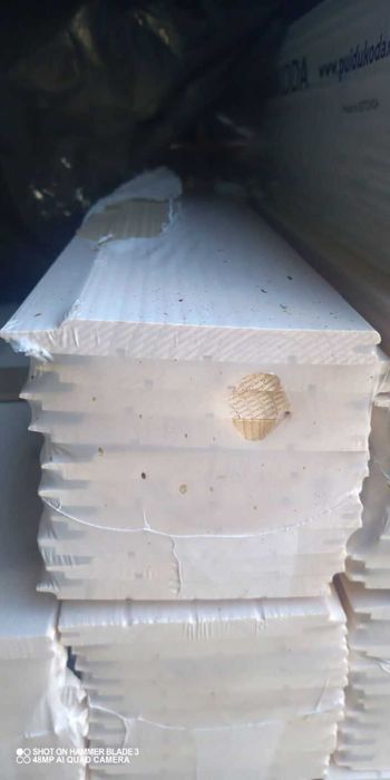 Świerk skandynawski