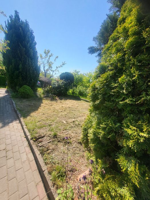 Działka Rodo okazja 300m