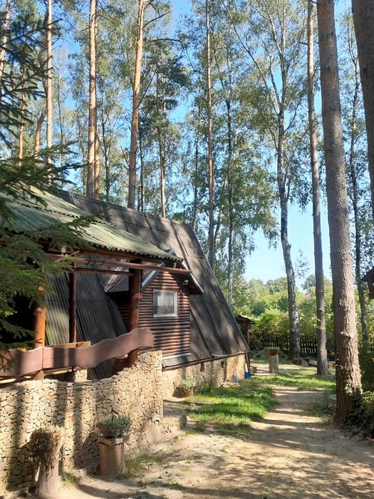 Wynajem Radzyń Sława  domek nad jeziorem Leśna Chatka 8-11 osób