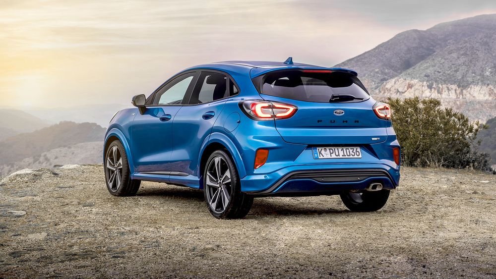 Zdjecie w galerii numer 6