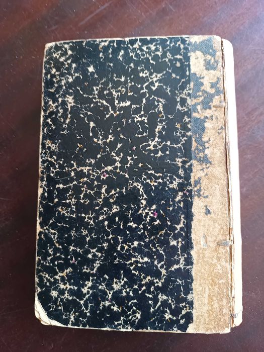 LE RÊVE - Émile Zola