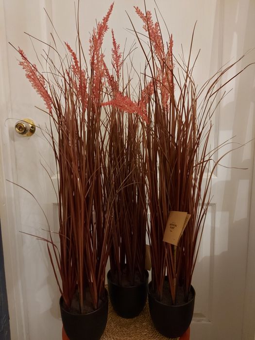 Рослина трава пампасна очерет штучна 90 см