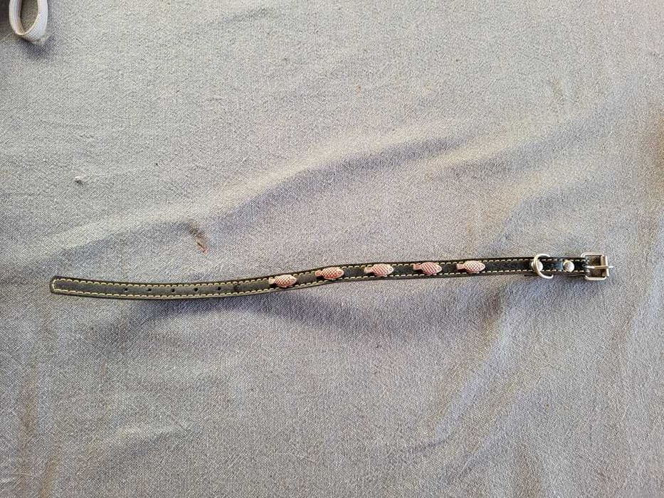 Coleira de Gato Nova