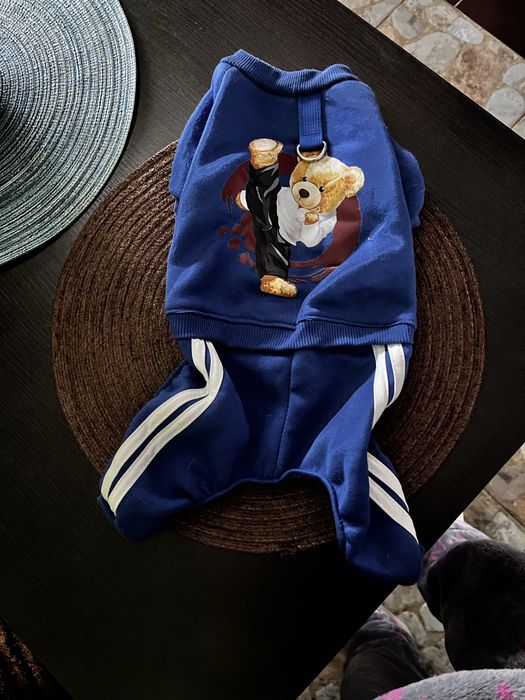 Костюм для песика