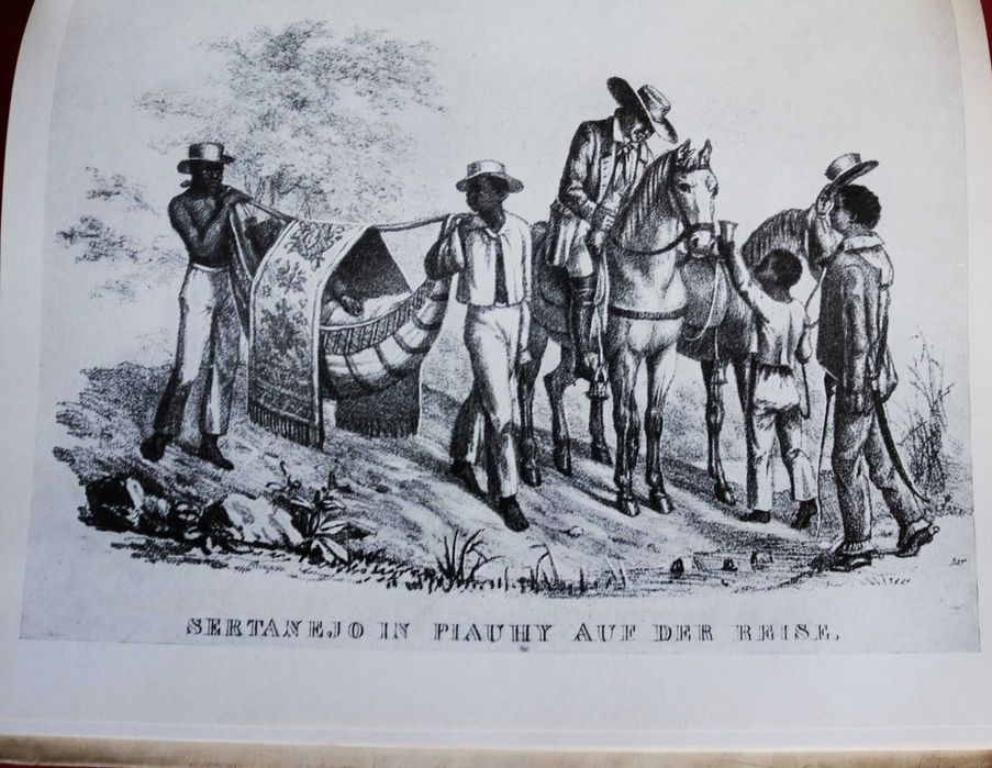Viagem pelo Brasil 1817-1820 Spix e Martius