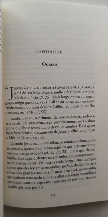 O que Jesus via do alto da cruz - A.D. Sertillanges