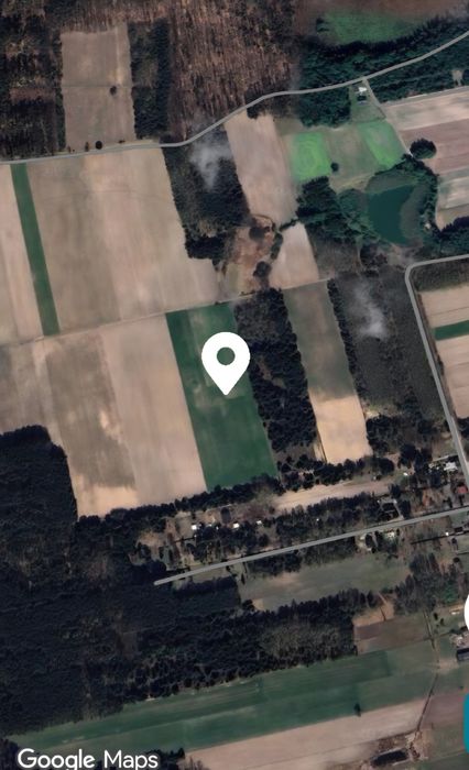 Sprzedam bezpośrednio działkę rolną 2,89 ha w Jasieńcu gm.  Głowaczów