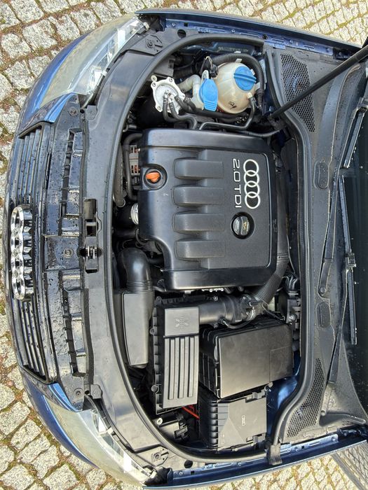 Audi a3 8p 2.0 TDI