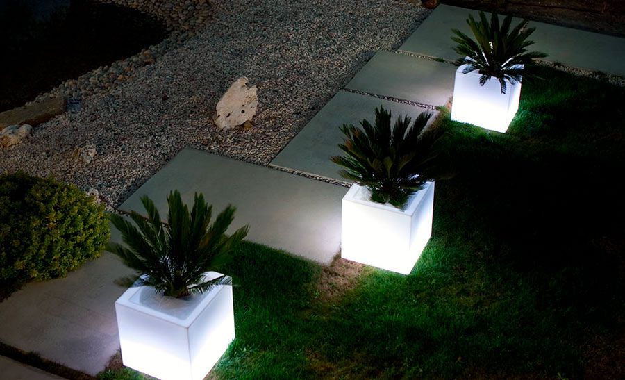 Vasos com luz iluminação