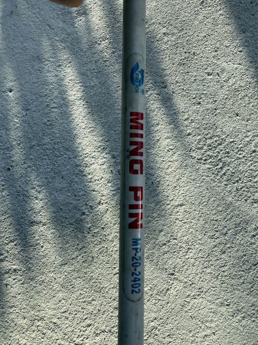 Cana de pesca Ming Pin com carreto