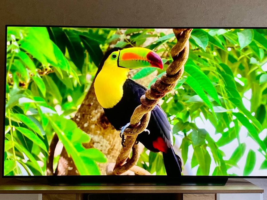 Телевизор 65" LG OLED65C11LB (OLED 65 C1) / Идеальный экран!