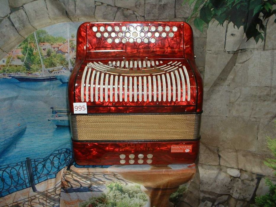 Promoção de Acordeões de concertinas