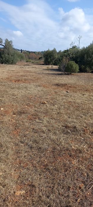 Faço jardins e limpezas de terrenos serviços d minigiratoria e tractor