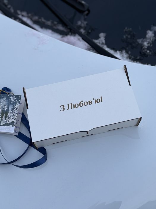 Дикі голуби пара  як із фільму «Один дома» подарунок з гіпсу , декор