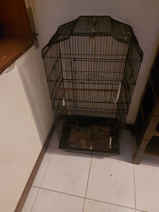 Tenho gaiola de papagaio  para vender completamente nova