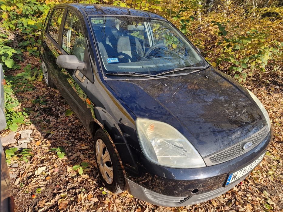 Ford Fiesta-benzyna