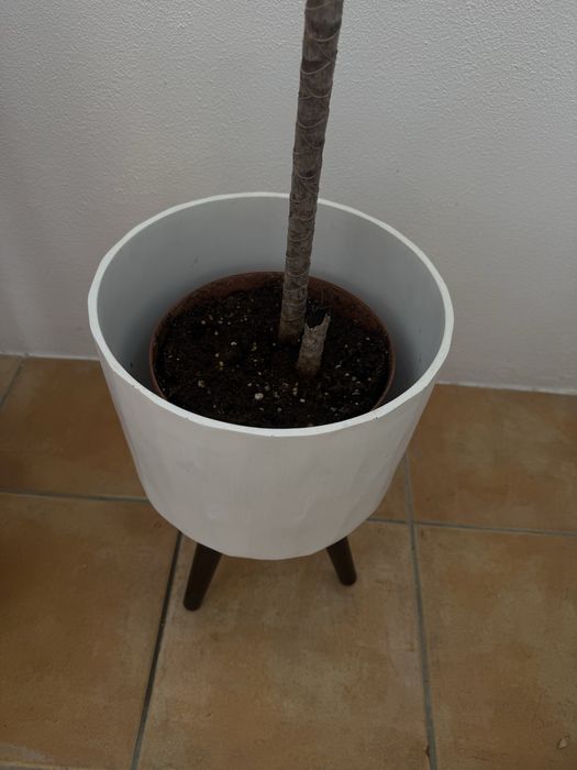 Vaso caspaux branco