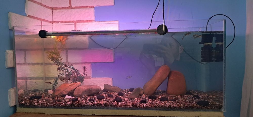 Продам аквариум 80литров