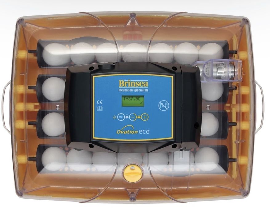 incubadora brinsea 28 pro