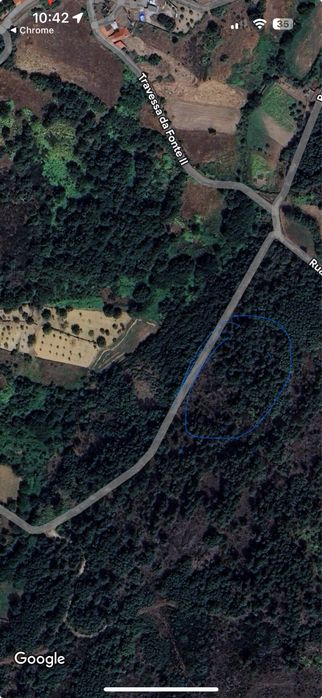 Terreno rustico na encosta da aldeia de Falachos