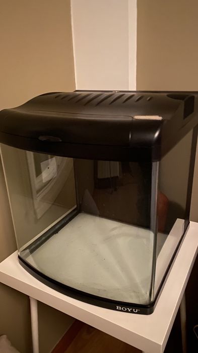 Aquario panoramico  80L