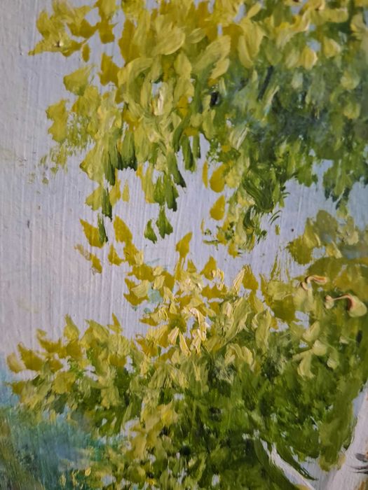 Картина олійні фарби 60х46см