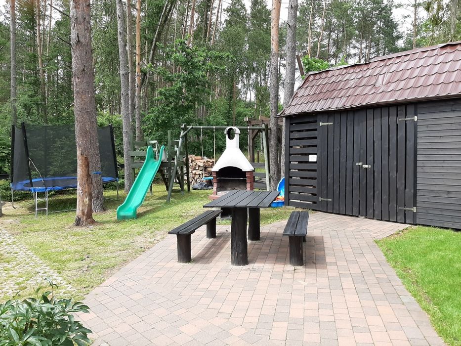 Wolny termin na  MAJÓWKĘ I LATO