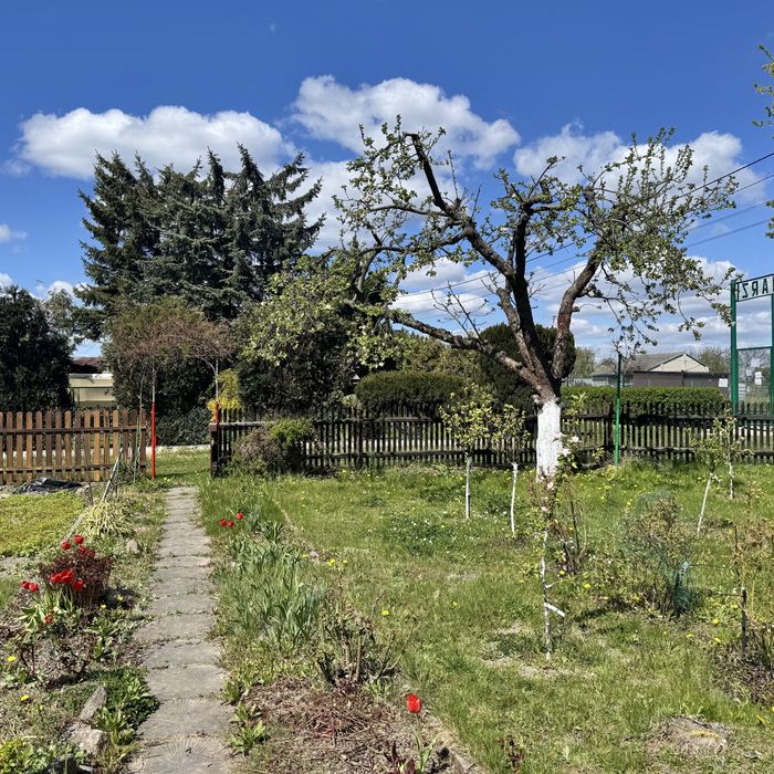 Ogrodek działkowy 400 m² - Widok 4