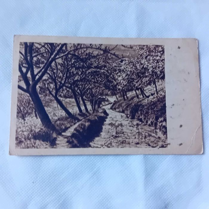 Pocztówka: ścieżka nad strumykiem. III Rzesza.