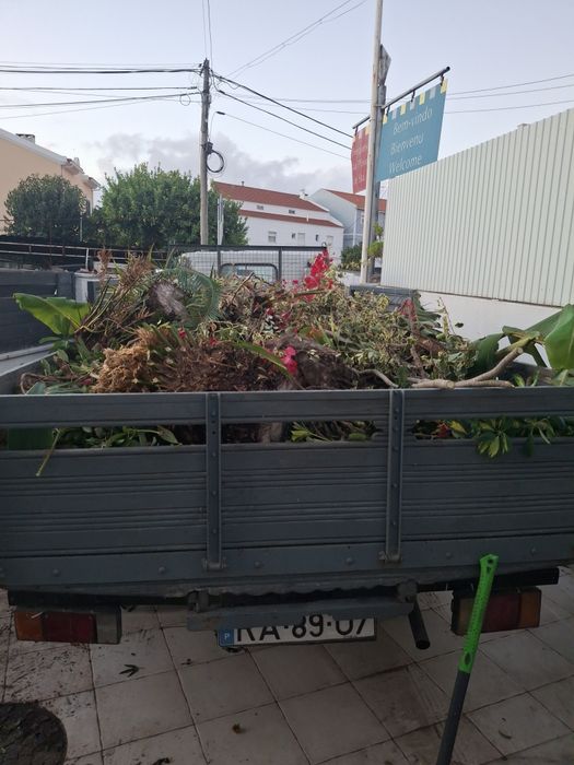 Limpeza de terreno jardim