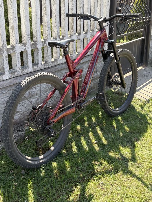 Trek remedy 7