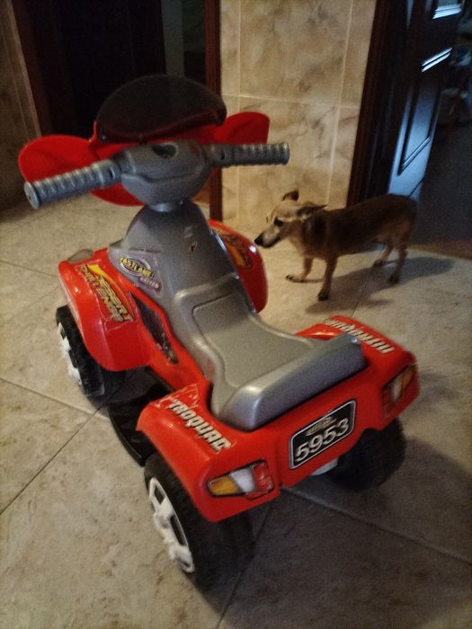 Vendo Moto Feber
