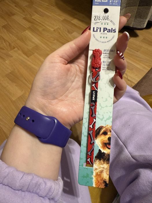 Нашийник для собаки