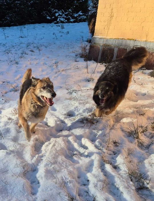 Matka z synem szukają domu