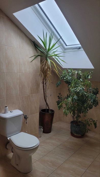 Pokoje biurowe- Gdańsk Osowa 18 m2