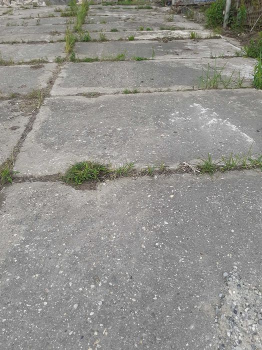 Płyty drogowe betonowe