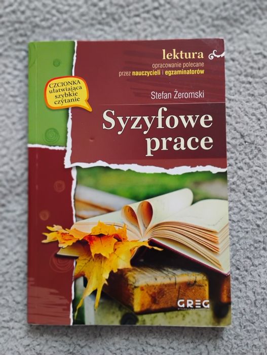 Książka Syzyfowe prace