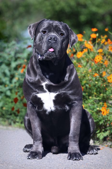 Девочка_Лолита