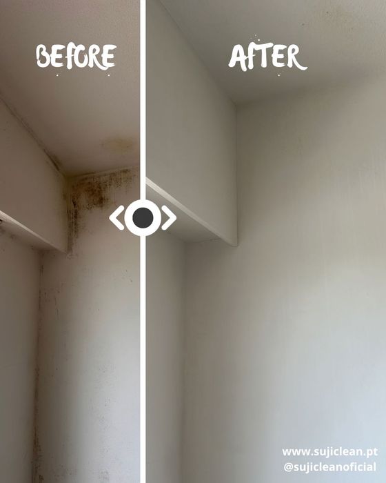 Limpeza profissional