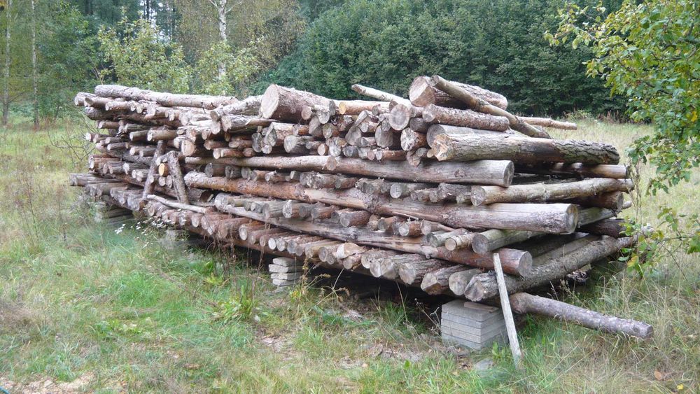 Drewno opałowe sosnowe opał sosna sucha wysezonowana