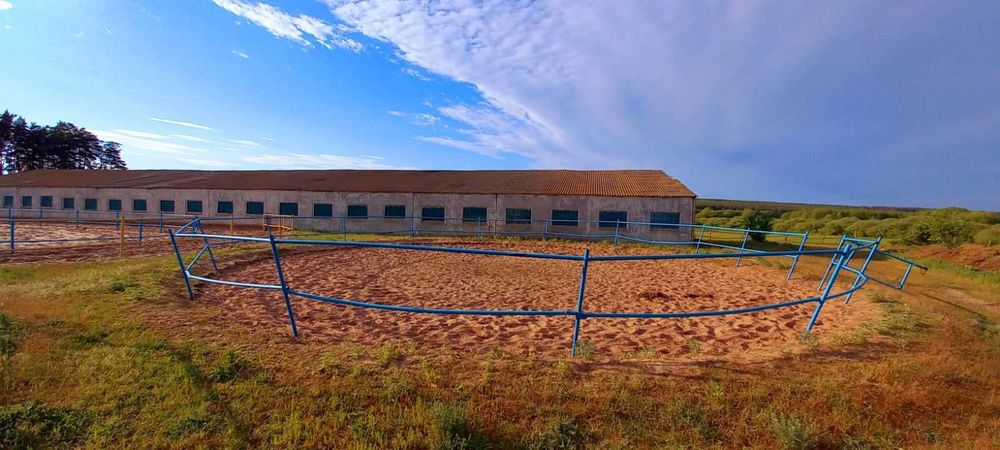 Постій коней та оренда денників у КСК «Юкон» (Харків)