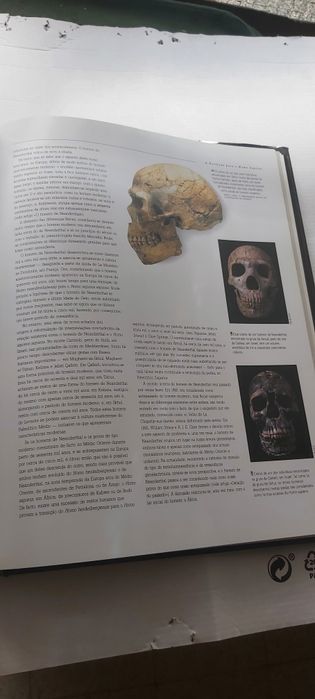 Enciclopédia Ilustrada "O AMANHECER DA HUMANIDADE: Os Primeiros Homens